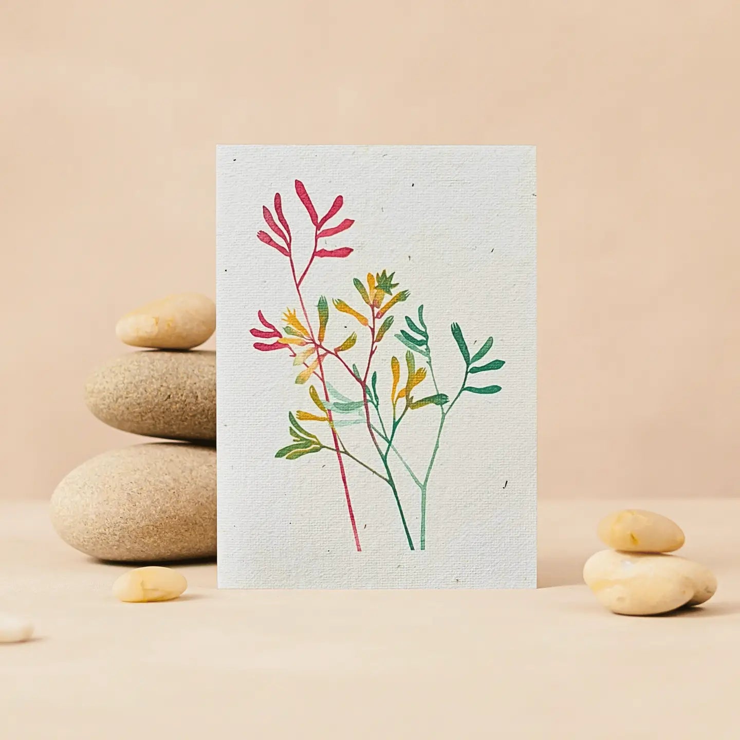 Kangaroo Paw Plantable Greeting Card embedded with Swan River Daisy Seeds.
