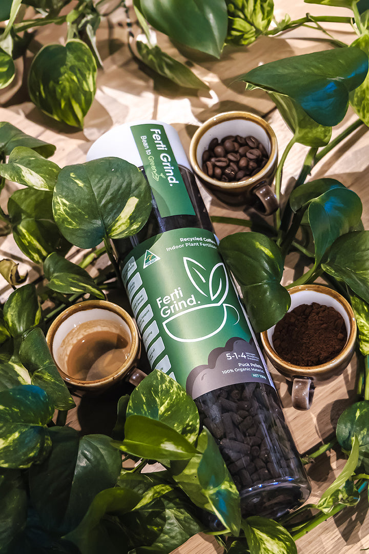 Ferti Grind Indoor Plant Fertiliser made from recycled Australian coffee grounds