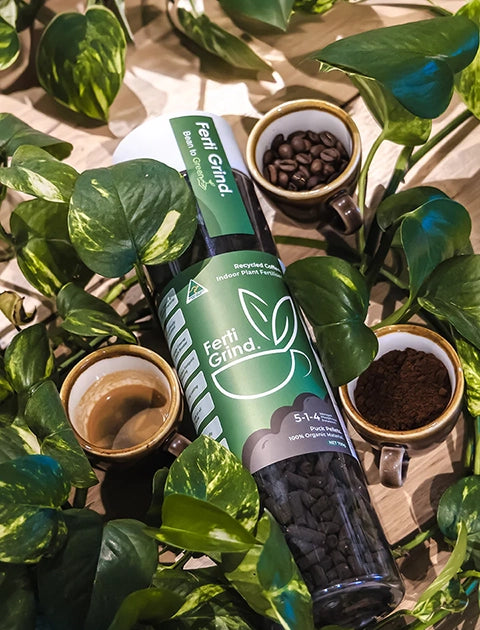 Ferti Grind Indoor Plant Fertiliser - Recycled Coffee Puck Pellets 700g