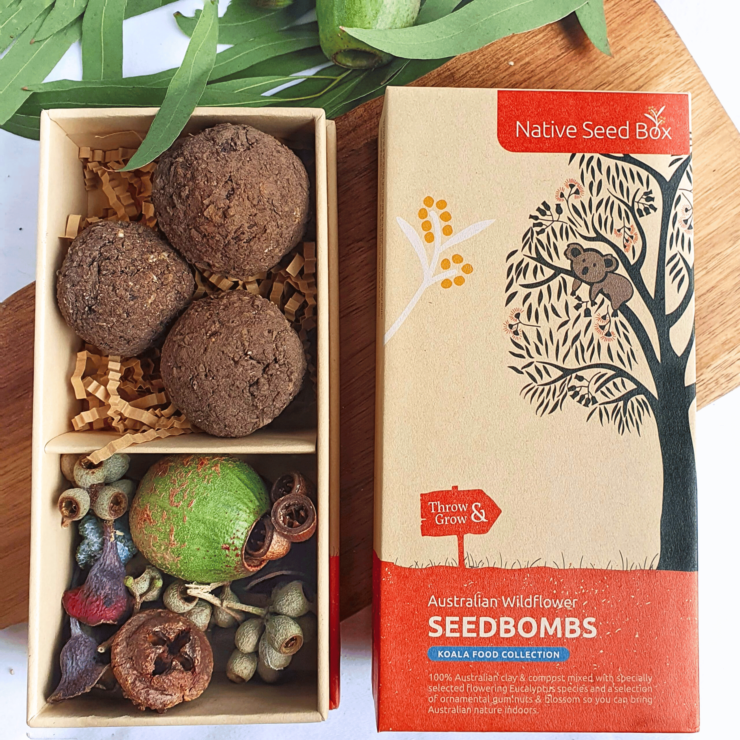 Koala Food Collection Seed Bombs with ornamental gum nuts