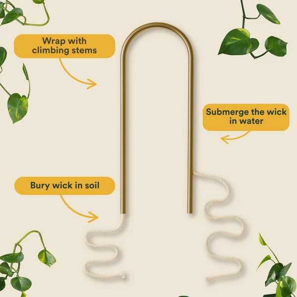 We The Wild Self-Watering Plant Climber instructions