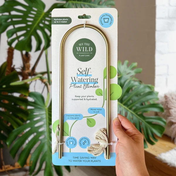 We The Wild Self-Watering Plant Climber in recycled packaging