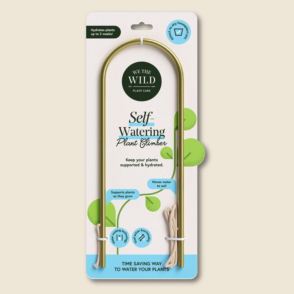 We The Wild Self-Watering Plant Climber in packaging