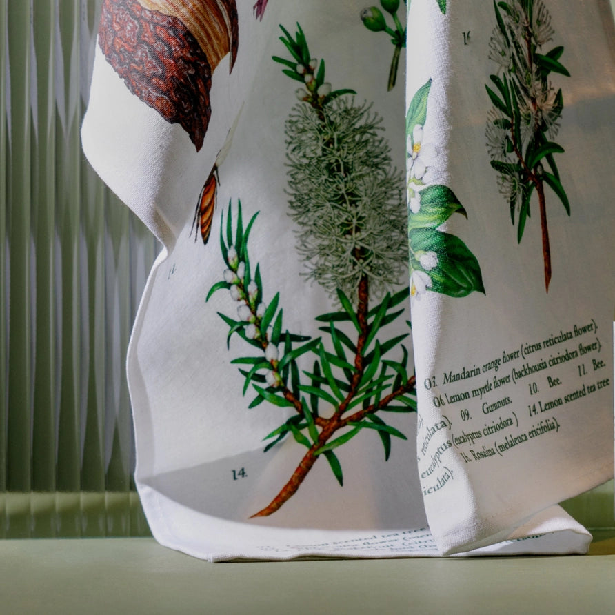 A white kitchen tea towel printed with vintage botanical illustrations and text, draped over a surface in front of a ribbed window shade. Koala Eco Terra Botanica Tea Towel