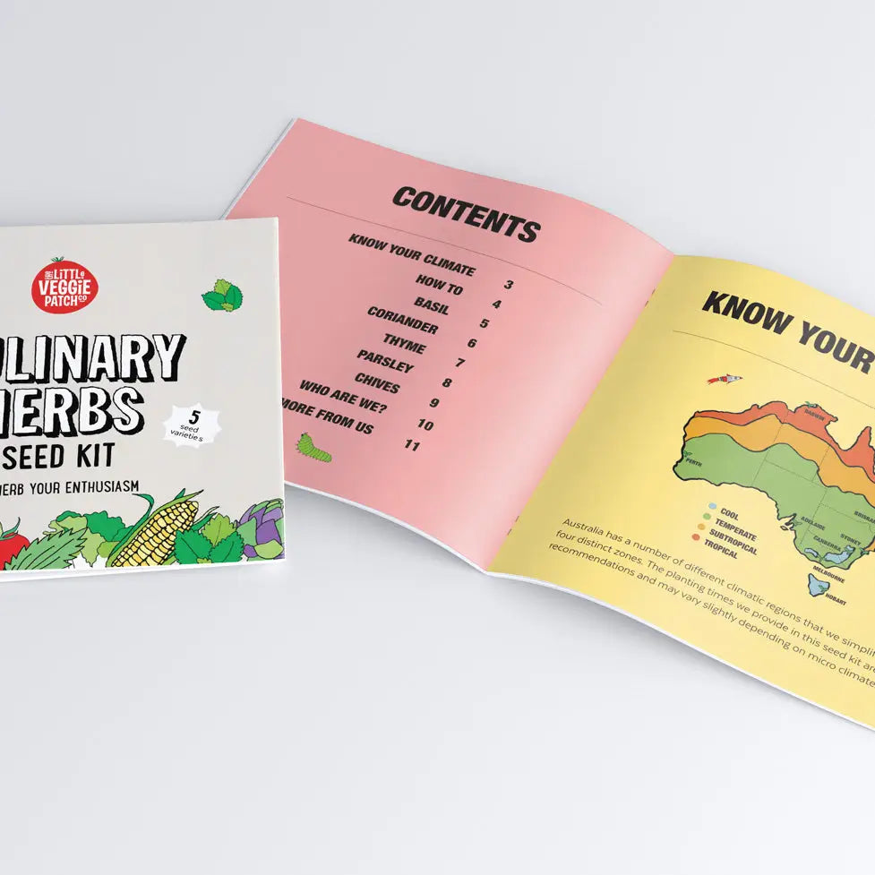 Culinary Herbs Seed Kit