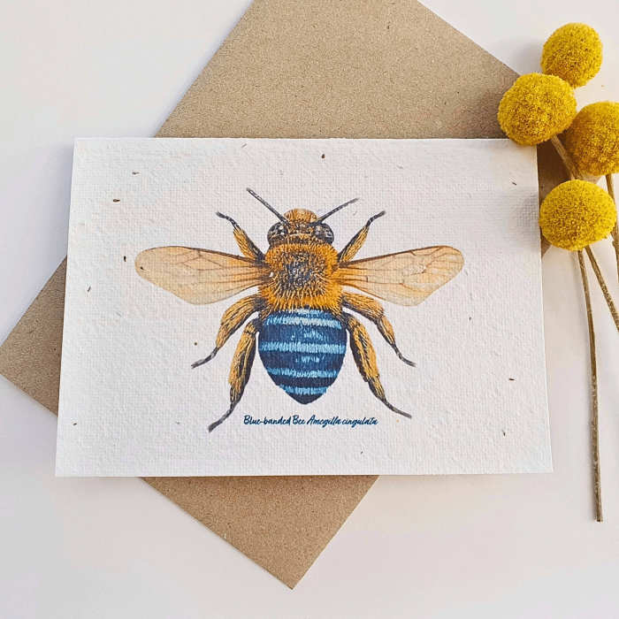 Blue-Banded Bee Plantable Greeting Card