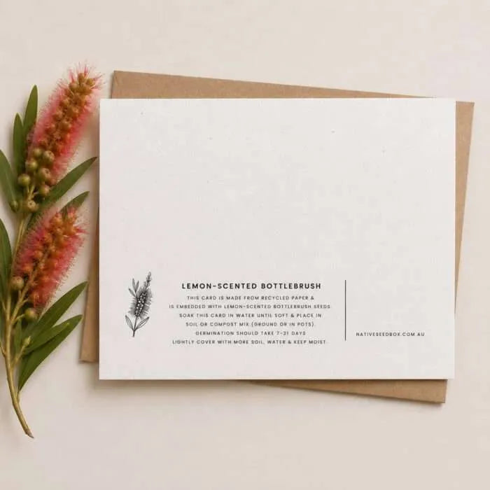 Lemon Scented Bottlebrush seeds available with Plantable Eucalyptus Blossoms Card