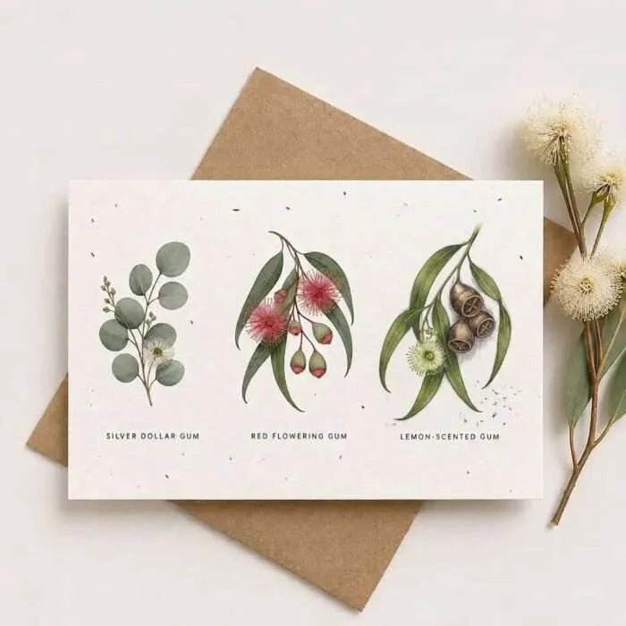 Plantable Eucalyptus Blossoms Card with Australian native seeds
