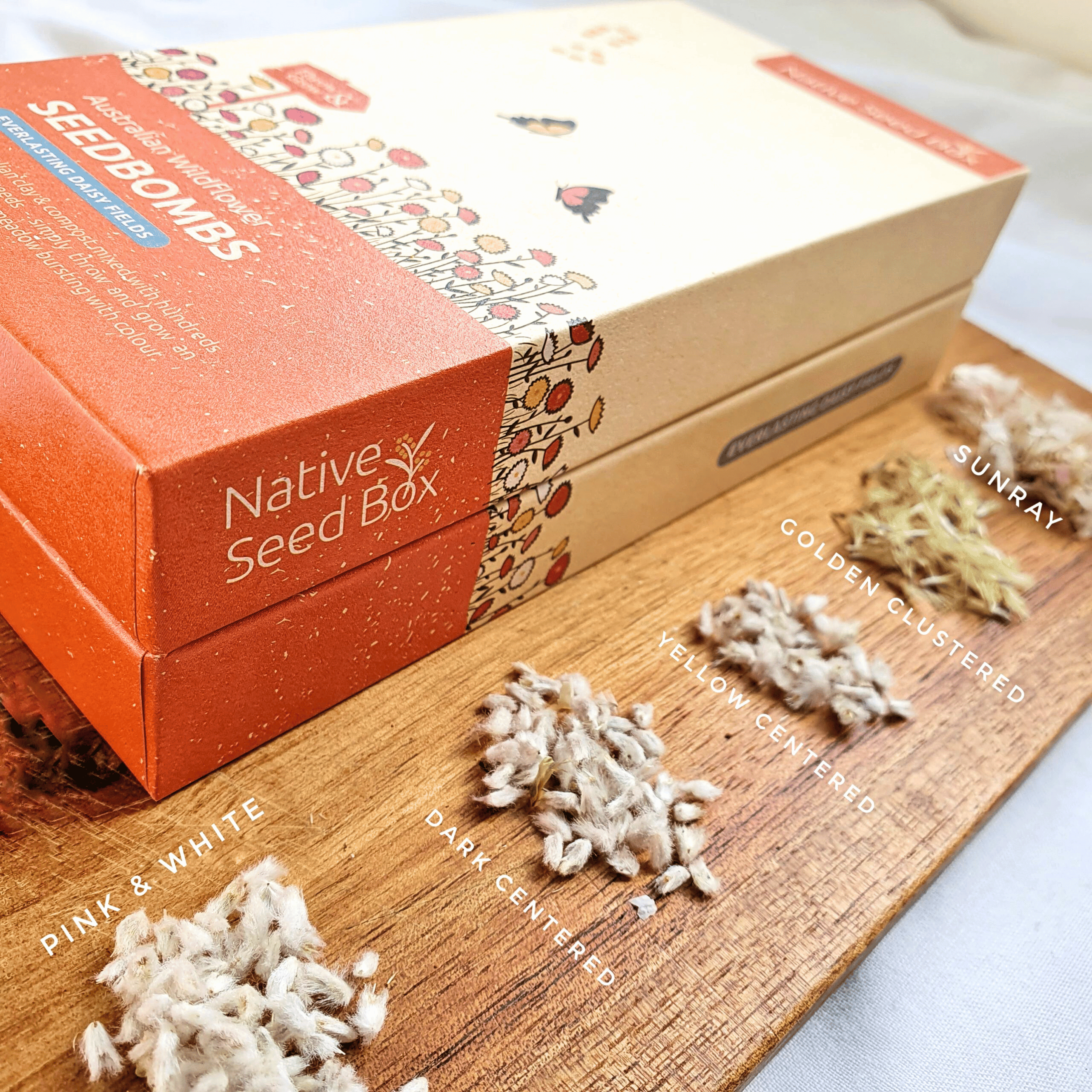 Everlasting Daisy Fields Seed Bombs packaging alongside images of the included seeds.