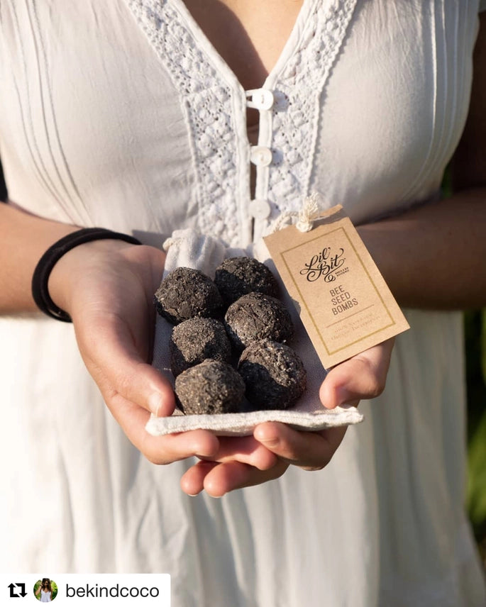 Holding Bee Seed Bombs in the gardener's hands