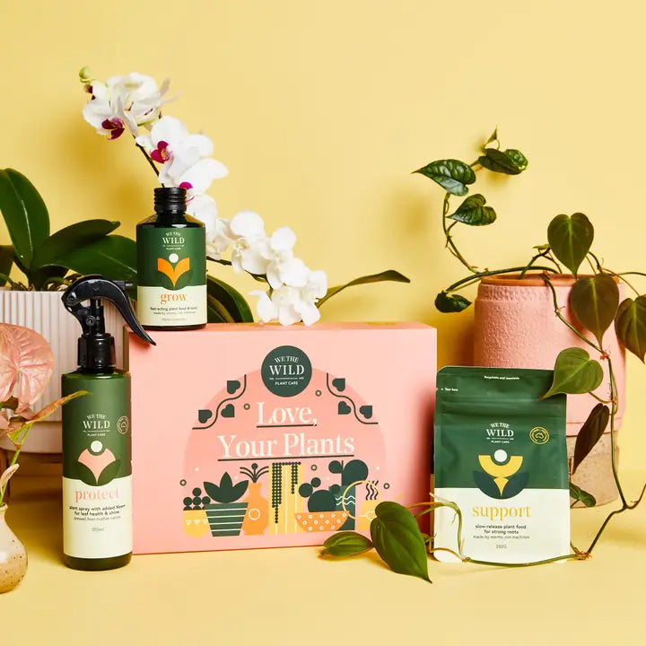 Love Your Plants Essential Plant Care Kit in Gift Box