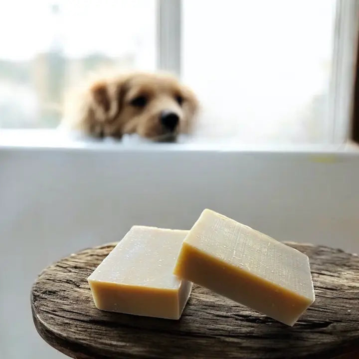 Two bars of organic pet shampoo in the foreground with a beige coloured dog looking on.