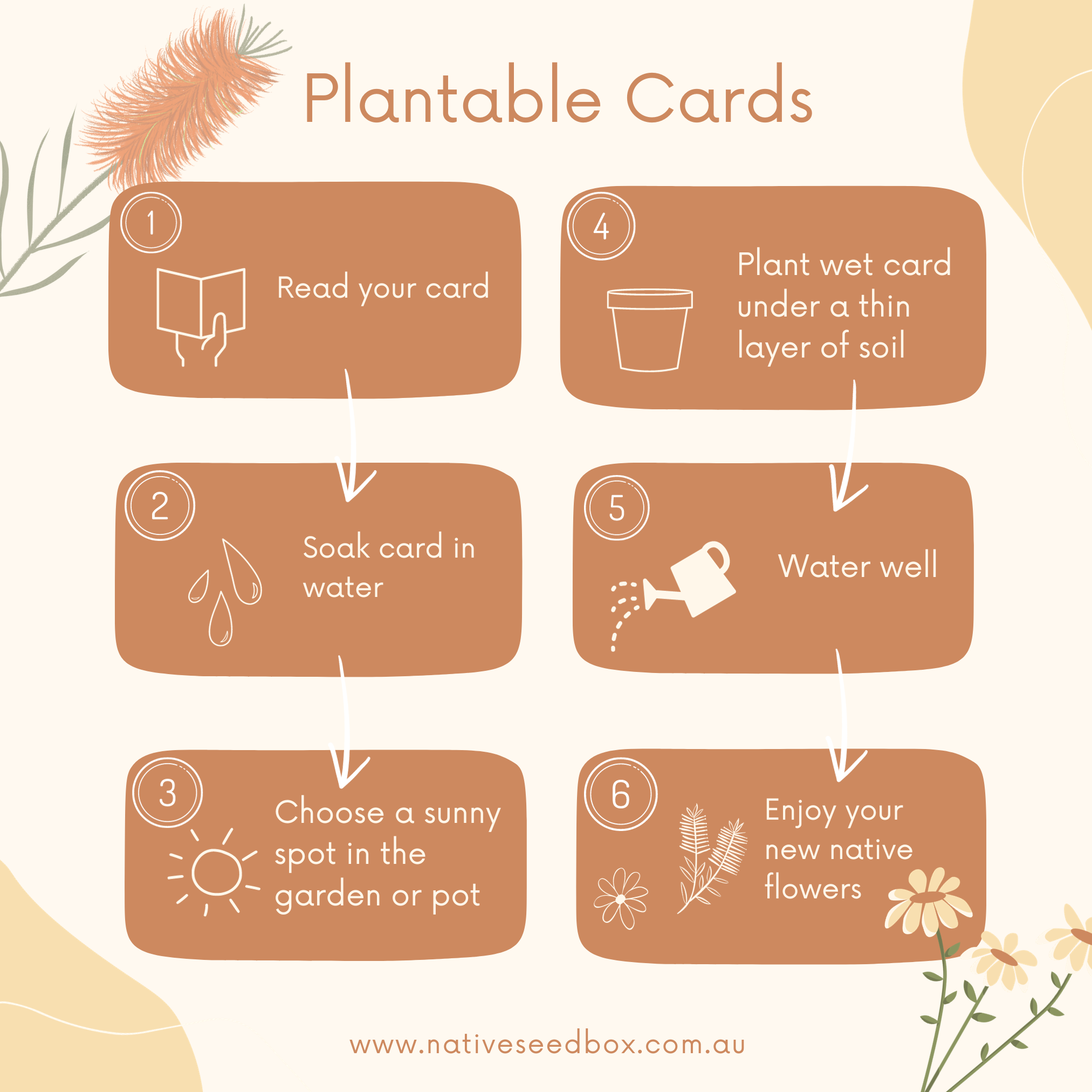 Plantable cards planting instructions