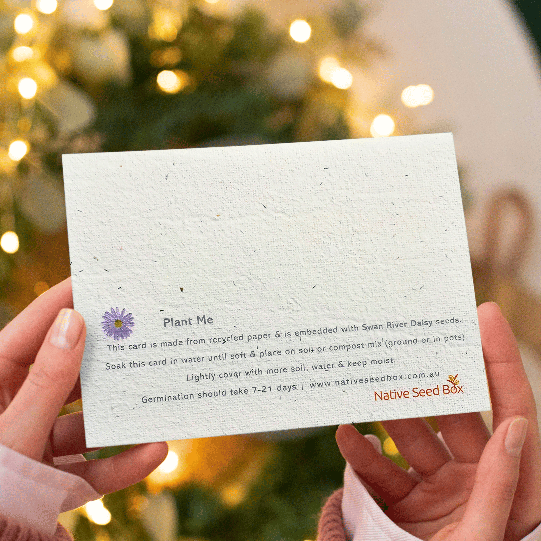 Plantable Christmas Card planting instructions