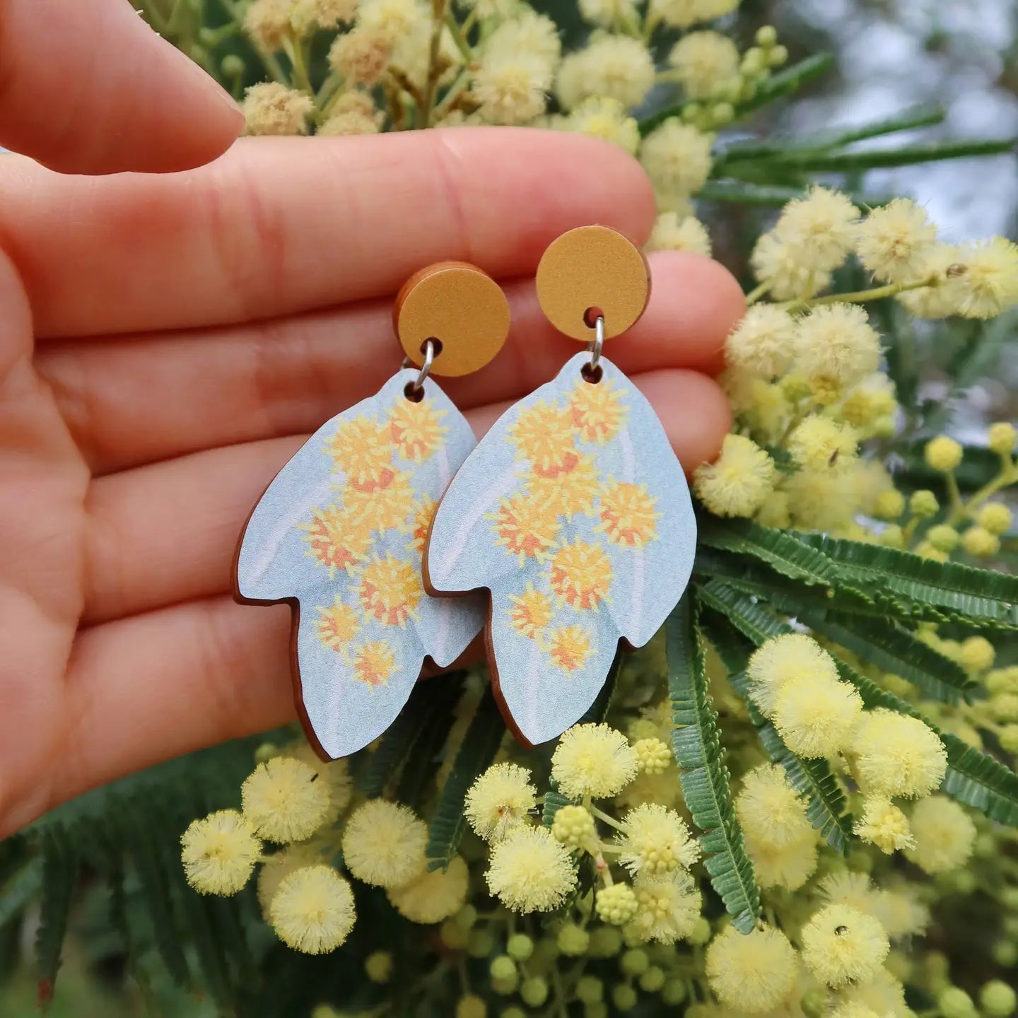 Silver Wattle Australian Wildflower Earrings