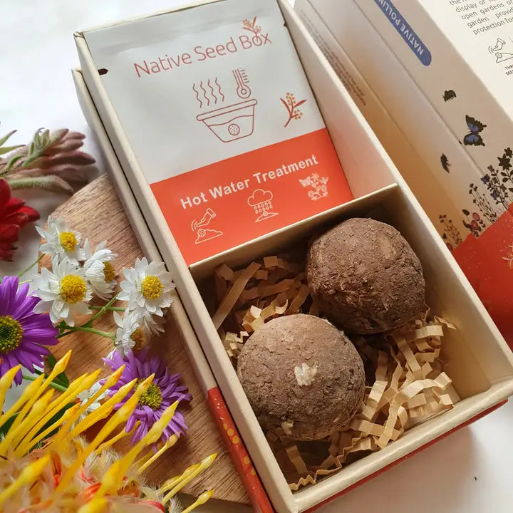 australian wildflower seeds Australian Wildflower Seed Bombs